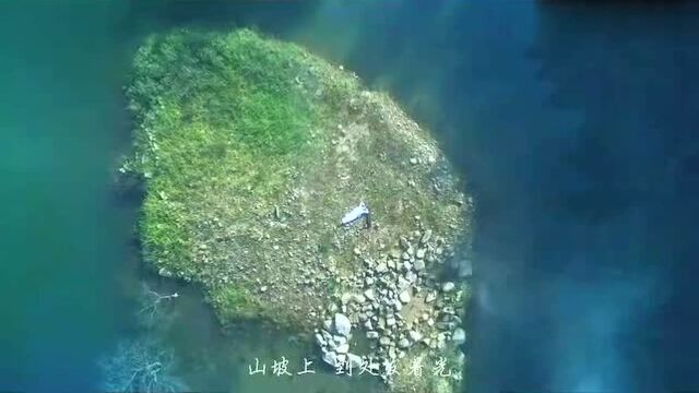 三藏梵音乐团《山景》MV