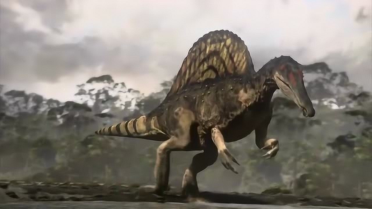 恐龙星球:锯鳐是棘龙最喜欢的食物,它们经常在河边捕猎