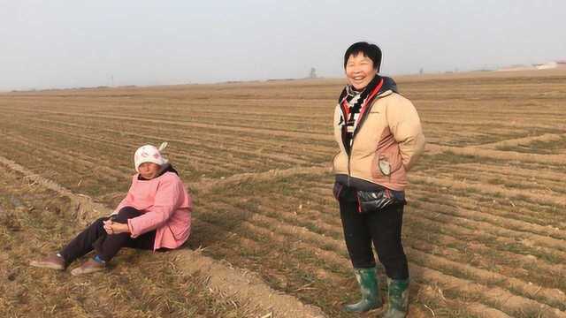 农民种地一年能挣多少钱?农村大婶告诉你收入,听完别吃惊