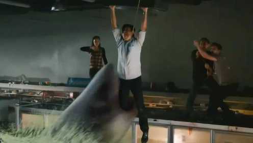 大海啸将大白鲨卷入超市，疯狂袭击人类，鲨鱼生猛生人勿近