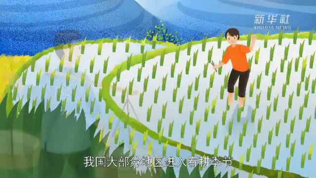 你听见春天绽放的声音了吗