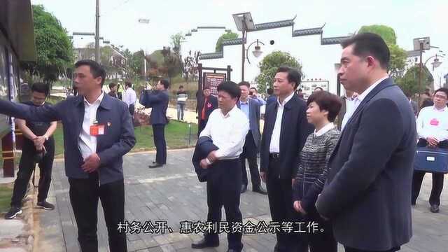 永州市零陵区村务监督月例会纪实片2019