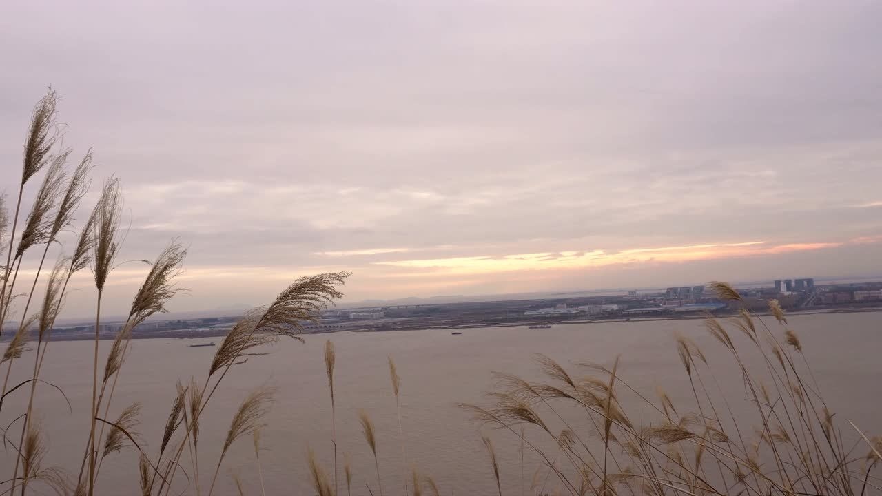 浙江温州瓯江入海口风景