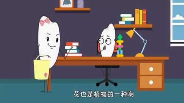 亲子百科:什么是植物呢?