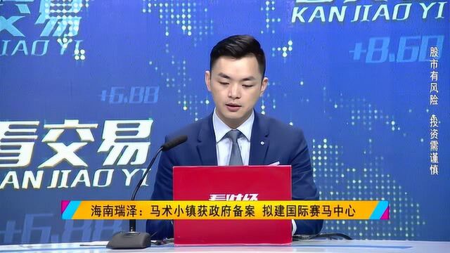 海南瑞泽:马术小镇获政府备案 拟建国际赛马中心