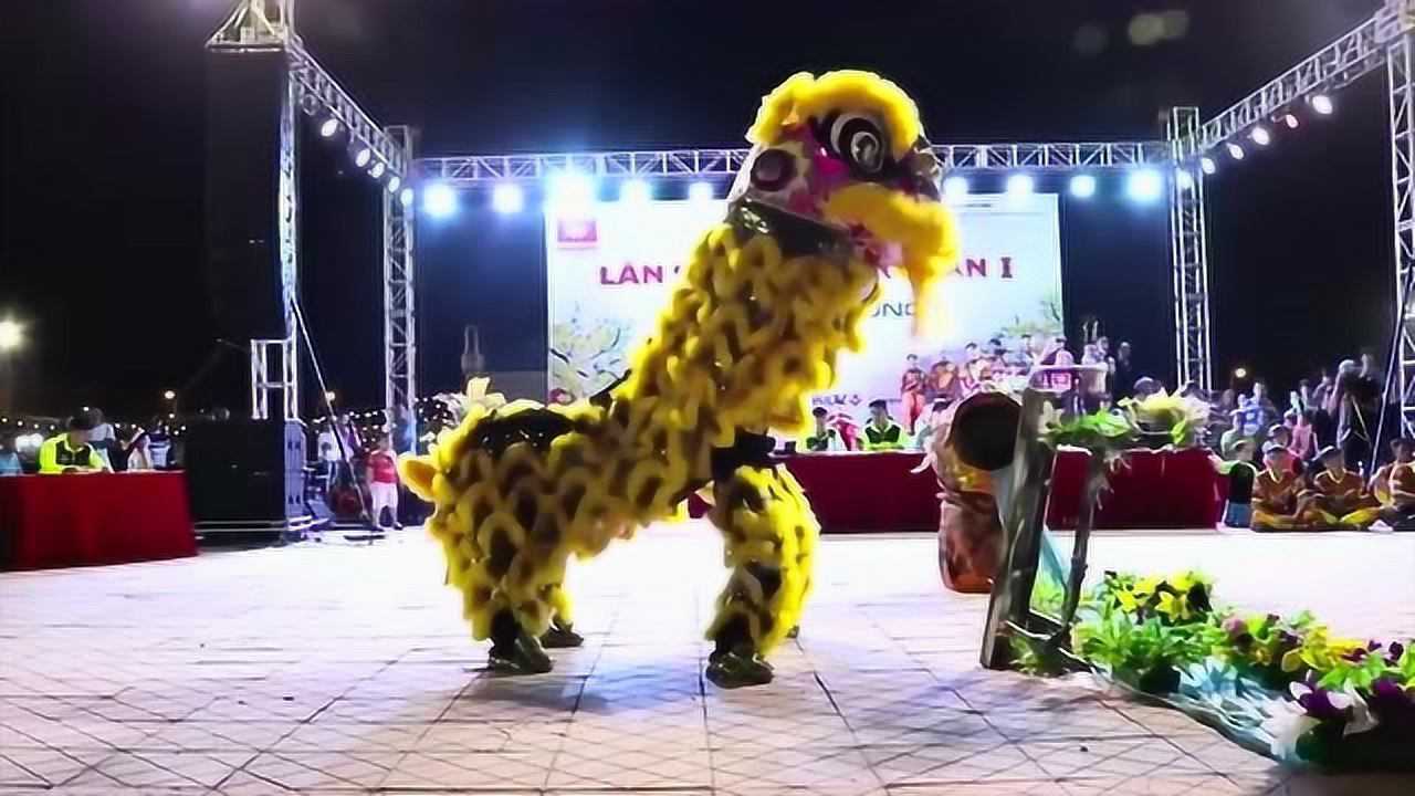 传统舞狮表演,舞狮采青视频欣赏_腾讯视频