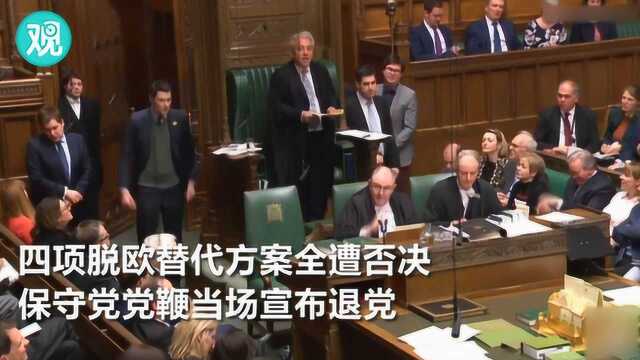 四项脱欧替代方案全遭否决 保守党党鞭愤而宣布退出保守党