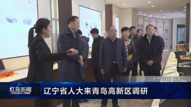 红岛新闻:辽宁省人大来青岛高新区调研