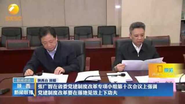 张广智:党建制度改革要在落地见效上下功夫