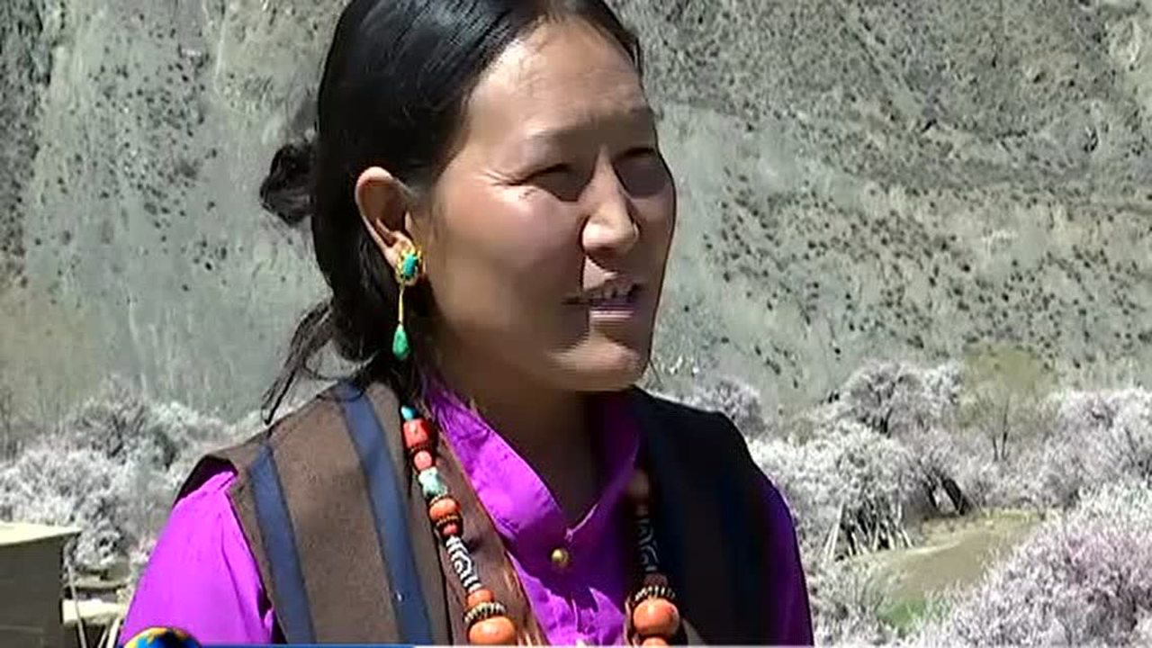 洛隆县俄西乡第七届杏(桃)花旅游艺术节