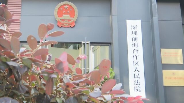 助力“一带一路” 深圳前海从全世界找来了这样一批人