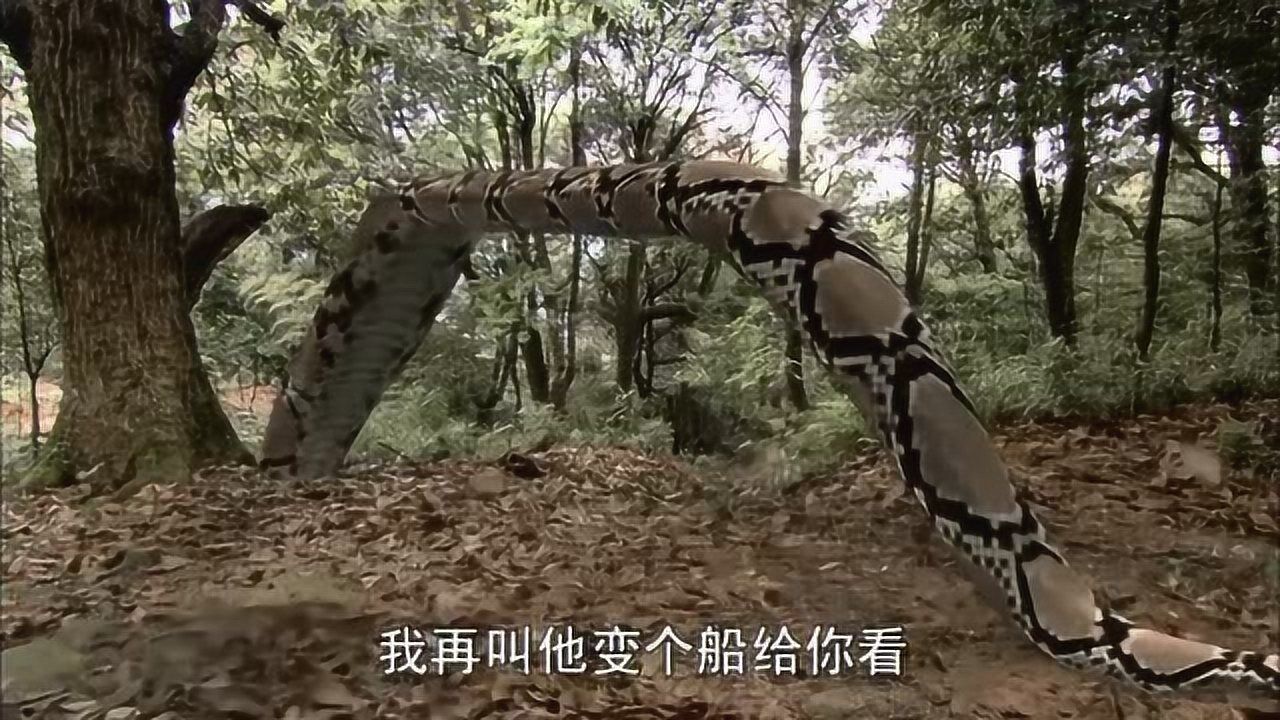 蟒蛇精吃孙悟空图片