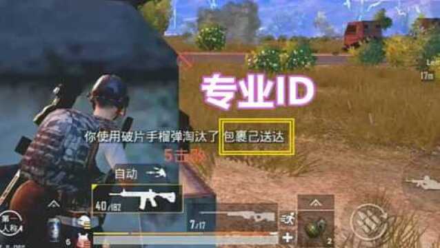 和平精英:看看原版吃鸡的专业快递员,ID取名都很敬业