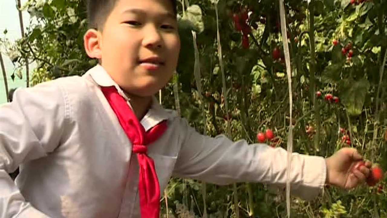 商丘市实验小学三年级社会实践活动_高清