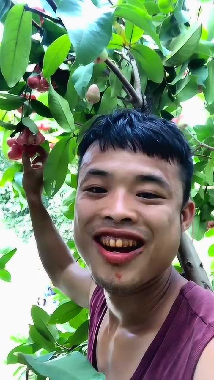 槟榔男神上树摘莲雾吃感觉还没长熟网友看起来好水嫩啊