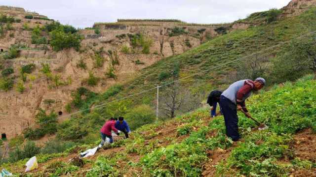 以前常听农村老人讲“少不入川,老不出蜀”,为啥这样说?