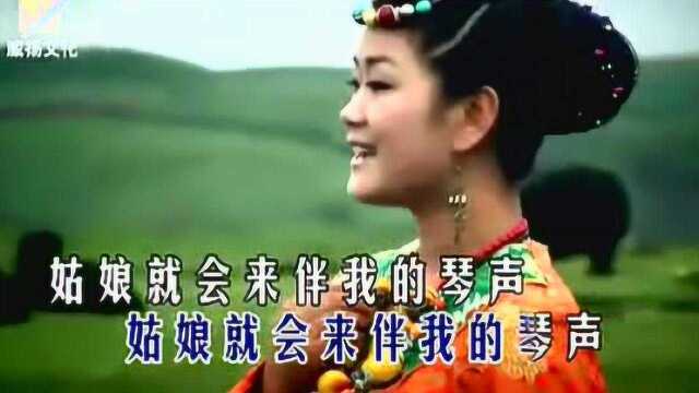 降央卓玛《草原之夜》歌曲MV专辑高音质