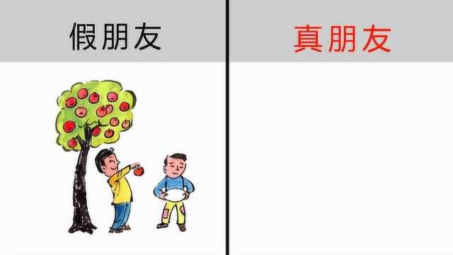 “假朋友”与“真朋友”的区别,2张图教你正确区分!