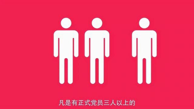 党总支和党支部的区别