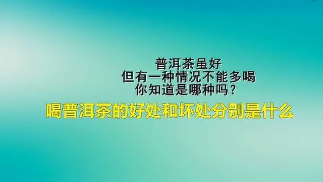 喝普洱茶的好处和坏处分别是什么