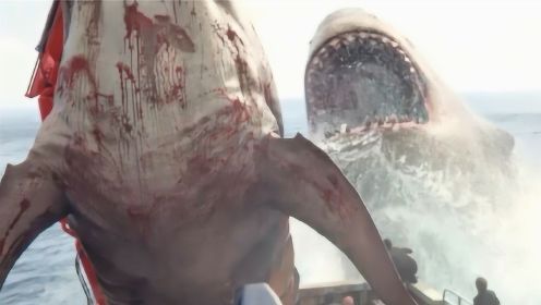 巨齿鲨重现大海，巨型鲸鱼一口吞，四处疯狂袭击人类
