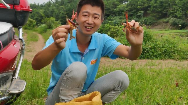 没饵料的地笼会进野味吗?农村小伙起了三个地笼,这收获还满意吧