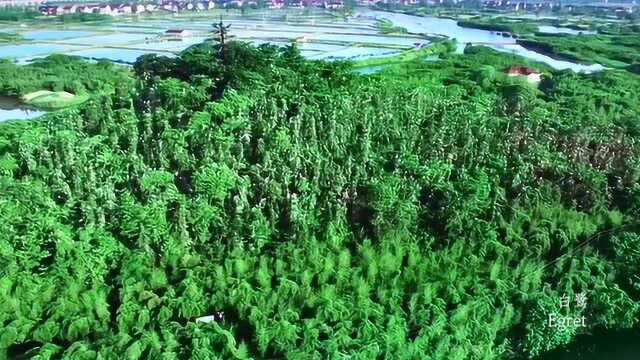 在湖州还是有很多好玩地方,这里是吴兴一部分风景