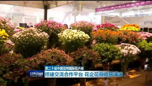 第二十届昆明国际花卉展 搭建交流合作平台 花企花商收获满满