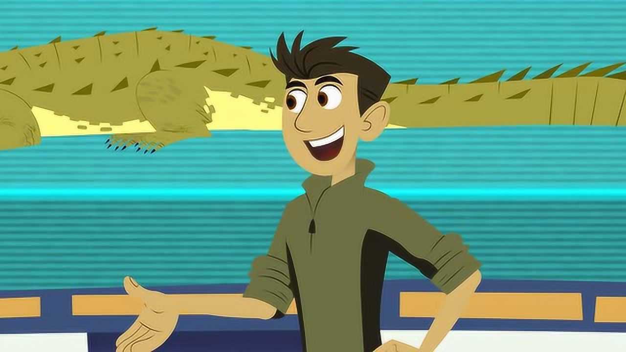 动物兄弟:鳄鱼和短嘴鳄有很多不同,因为它们是不同的物种