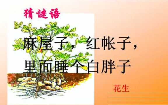 部编版五年级上册微课《落花生》