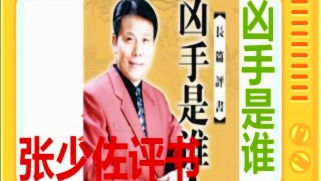 张少佐评书:《凶手是谁》全本22