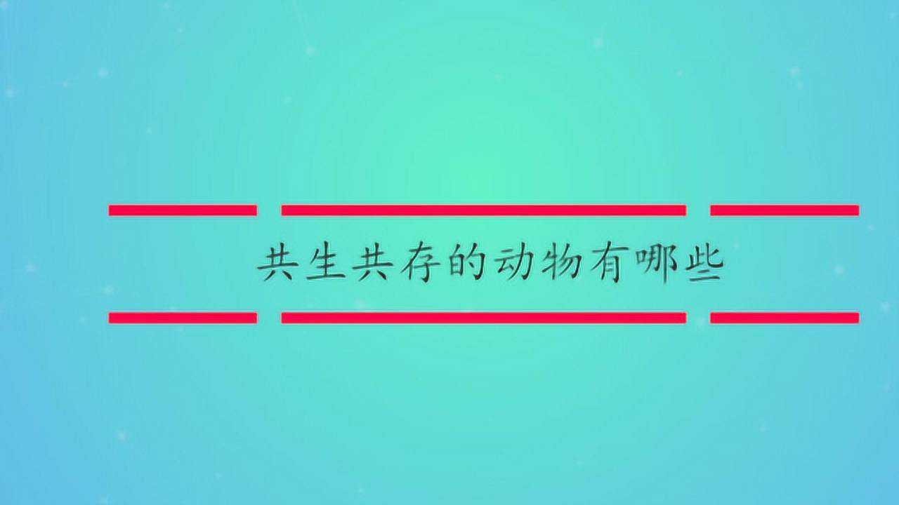 共生共存的动物有哪些