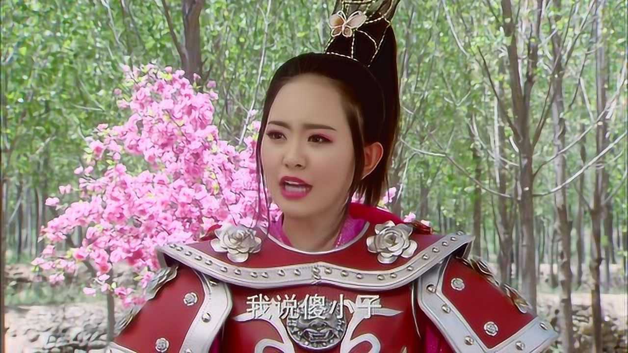 薛刚与武三思斗武,九环公主追来解围,谁料薛刚却与九环斗嘴
