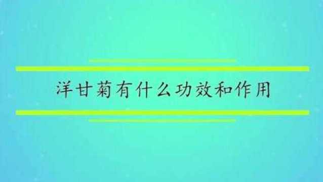 洋甘菊有什么功效和作用