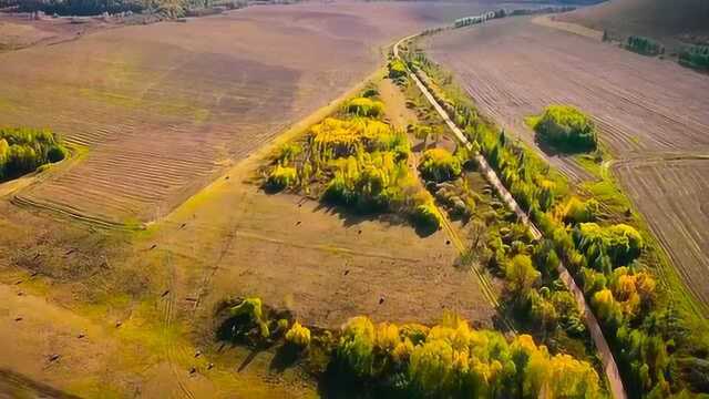 中国旅游 秋天内蒙古呼伦贝尔草原