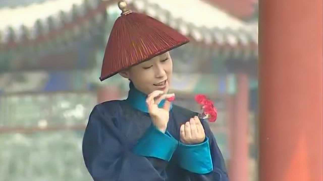 铁将军阿贵:格格怀春,择婿摇摆不定,拽花瓣决定