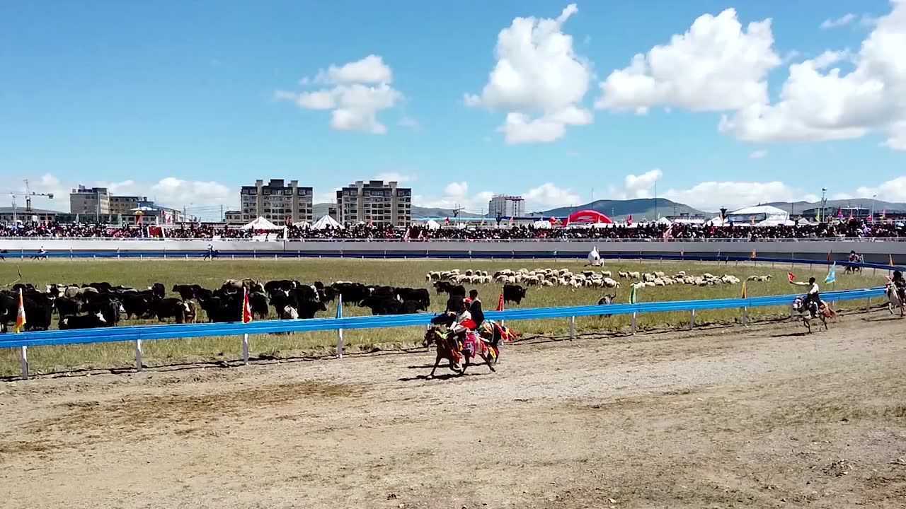 那曲市赛马节 腾讯视频