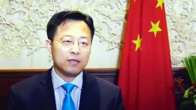 中国外交部新闻司添“新人”:推特上战斗力最强的中国外交官