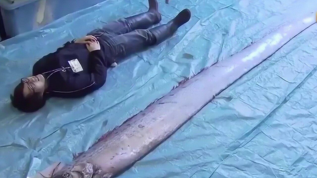 日本惊见47米地震鱼居民担心强震要来了这是预警吗