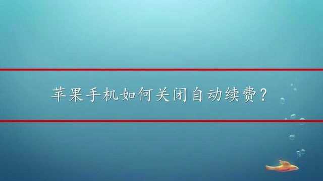 苹果手机如何关闭自动续费?