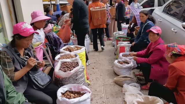 云南曲靖农村集市,一整条街都是卖核桃和板栗的,来自大山的山货