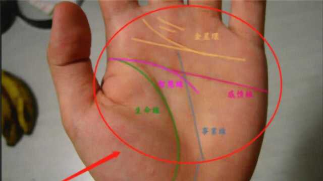 手上有这2种纹路的女人,注定是富贵命,还旺夫旺子