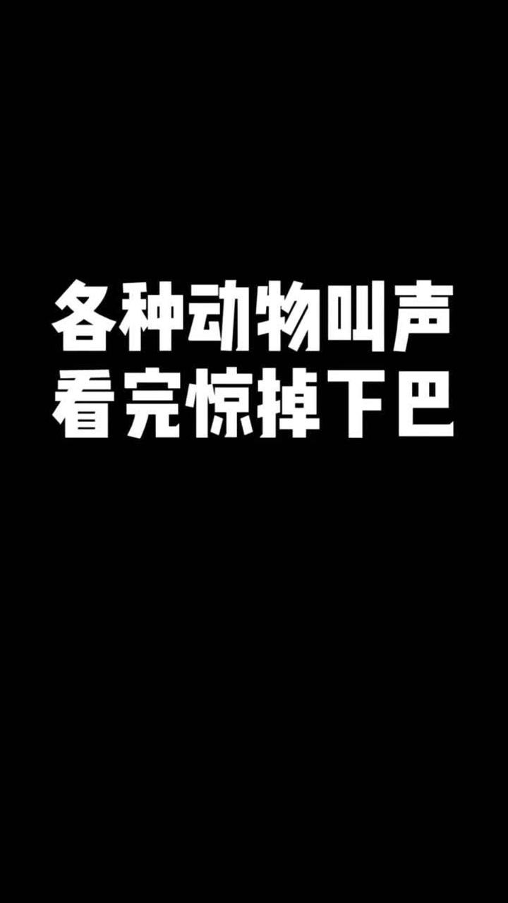 口技中国加油界的口技大师你猜猜是谁