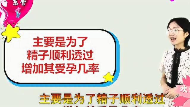 女性到了排卵期,会有这6个反应,备孕的你要知道