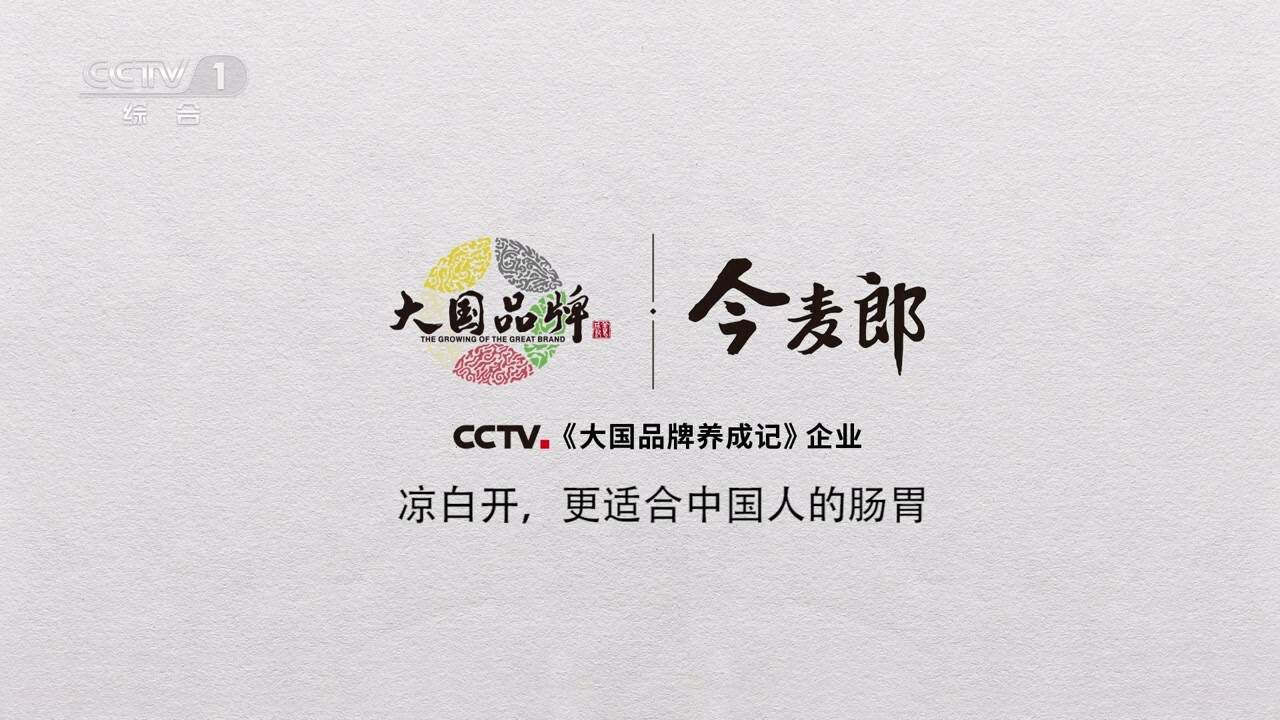 今麦郎大国品牌品牌片