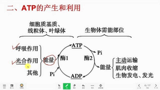 《ATP》微专题