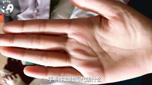 女手相图解 女生命线年龄代表什么 健康线穿过生命线和感情线 高清1080p在线观看平台 腾讯视频