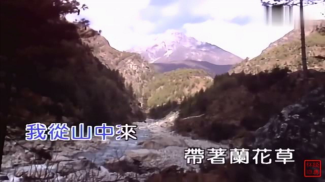 被刘文正唱火的歌《兰花草》，原唱歌手银霞，珍贵收藏版MV_腾讯视频