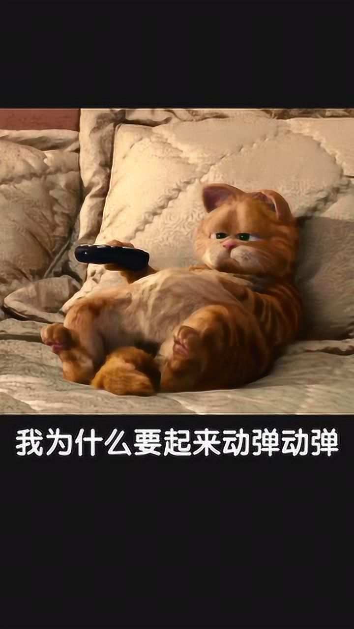 你能不能离开舒适圈,这么舒适你会离开吗?