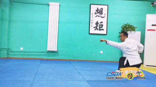 青少年初级武术必学套路之《五步拳》教学